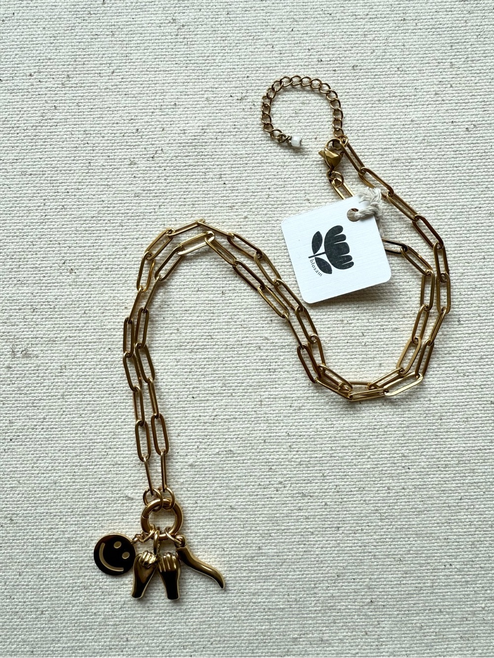 18K Gold PVD Stainless Steel Italian Horn Charm Holder Necklace NWT - Picture 5 of 7